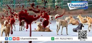 Read more about the article തെരുവ് നായ്ക്കളുടെ ആക്രമണം; തിരുവനന്തപുരം ആറ്റിങ്ങലില്‍  വയോധികൻ മരിച്ചു.