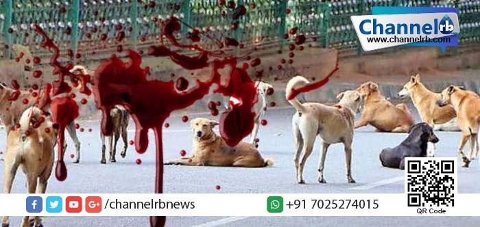 You are currently viewing തെരുവ് നായ്ക്കളുടെ ആക്രമണം; തിരുവനന്തപുരം ആറ്റിങ്ങലില്‍  വയോധികൻ മരിച്ചു.