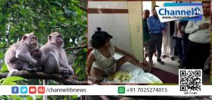 Read more about the article കുരങ്ങുകളോടൊപ്പം കാട്ടില്‍ ജീവിക്കുകയായിരുന്ന എട്ട് വയസ്സുകാരിയെ നാട്ടുകാര്‍ കണ്ടെത്തി; കുരങ്ങിന്റെ സ്വഭാവം പ്രകടിപ്പിക്കുന്ന കുട്ടി ഇപ്പോള്‍ ചികിത്സയിലാണ്.