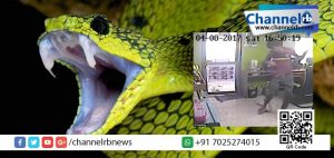 Read more about the article നെറ്റ് കഫേയില്‍ കടന്നു കൂടിയ പാമ്പ്; അവിടെ പിന്നീട് സംഭവിച്ചത്.