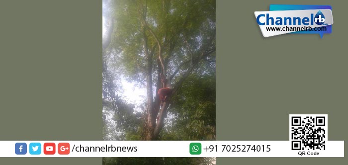 You are currently viewing ആത്മഹത്യാ ഭീഷണി മുഴക്കി യുവാവ് മരത്തിനു മുകളില്‍ കയറി.