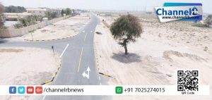 Read more about the article വൃക്ഷം സാക്ഷി! നമുക്ക് അവരെ കണ്ട് പഠിക്കാം…