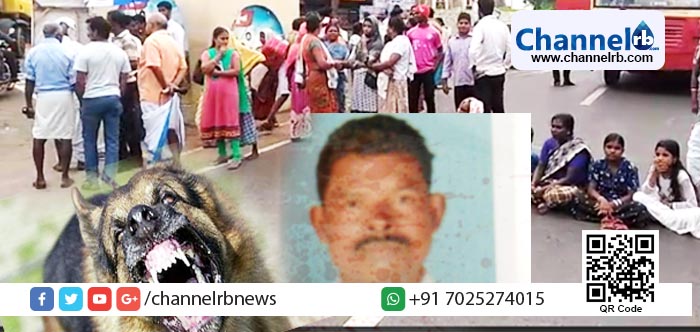 You are currently viewing തെരുവ് നായ്ക്കള്‍ കടിച്ച് കീറിയ മത്സ്യ തൊഴിലാളി മരിച്ചു; സംഭവത്തില്‍ ശക്തമായ പ്രതിഷേധം.