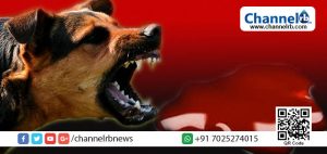 Read more about the article തെരുവ് നായ്ക്കള്‍ക്ക് തിന്നാന്‍ നവജാത ശിശുവിന്റെ മൃതദേഹം; നായ്ക്കളെ പിന്തിരിപ്പിക്കാന്‍ ശ്രമിക്കാതെ മൊബൈല്‍ ഫോണില്‍ പകര്‍ത്താനുള്ള ആവേശത്തില്‍ ആളുകള്‍