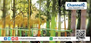 Read more about the article സിനിമയില്‍ അഭിനയിക്കാന്‍ അവസരം നല്‍കാമെന്ന് പറഞ്ഞ് കലാഭവന്‍ മണിയുടെ പാഡിയില്‍ പീഡന ശ്രമം; യുവാവ് കസ്റ്റഡിയില്‍