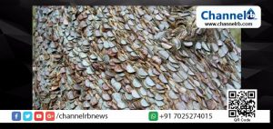 Read more about the article ഒടുവില്‍ പണം കായ്ക്കുന്ന മരവും കണ്ടെത്തി..!