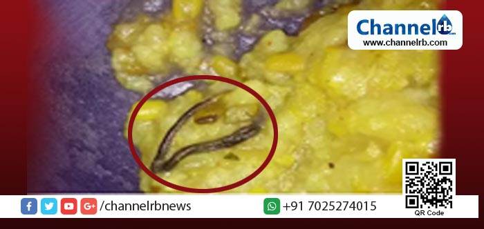 You are currently viewing സ്‌കൂളിലെ ഉച്ചഭക്ഷണത്തില്‍ പാമ്പിന്‍കുഞ്ഞ്..!