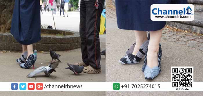 You are currently viewing ഇതിലേതാ പ്രാവ്…! ജപ്പാനില്‍ ട്രെന്‍ഡായി പ്രാവ് ഷൂ.