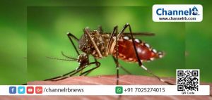 Read more about the article ജാഗ്രതൈ., മാരകമായ സിക്ക വൈറസ് ഇന്ത്യയിലും; ഗര്‍ഭിണിയായ യുവതിയടക്കം മൂന്നുപേര്‍ക്ക് വൈറസ്ബാധ സ്ഥിരീകരിച്ചു