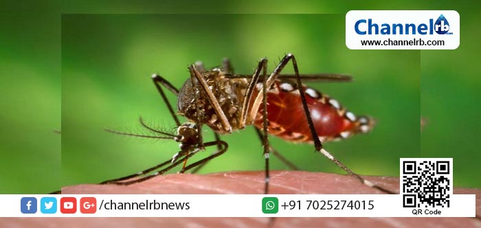 You are currently viewing ജാഗ്രതൈ., മാരകമായ സിക്ക വൈറസ് ഇന്ത്യയിലും; ഗര്‍ഭിണിയായ യുവതിയടക്കം മൂന്നുപേര്‍ക്ക് വൈറസ്ബാധ സ്ഥിരീകരിച്ചു