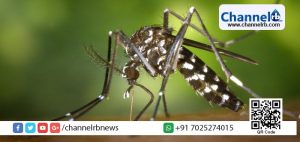 Read more about the article ഡങ്കിപ്പനിയുടെ തലസ്ഥാനമായി തിരുവനന്തപുരം.