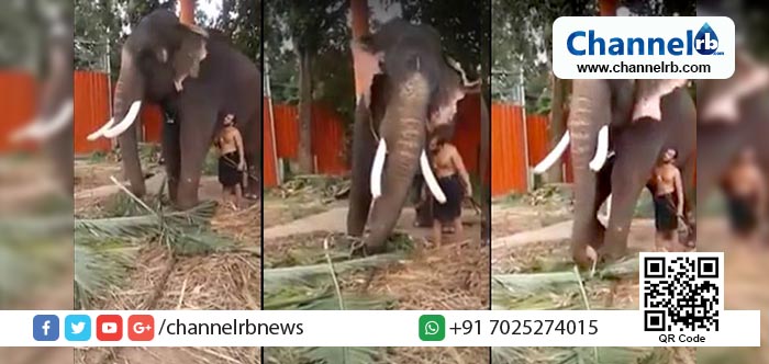 You are currently viewing മനുഷ്യനെ സ്നേഹിക്കുന്നതിലും നല്ലത് ജീവികളെ സ്നേഹിക്കുന്നതാണ് നല്ലതെന്നു പറഞ്ഞ പഴമക്കാരുടെ വാക്കുകള്‍ സത്യമാകുന്നു; കണ്ട് നോക്കൂ ഈ വീഡിയോ