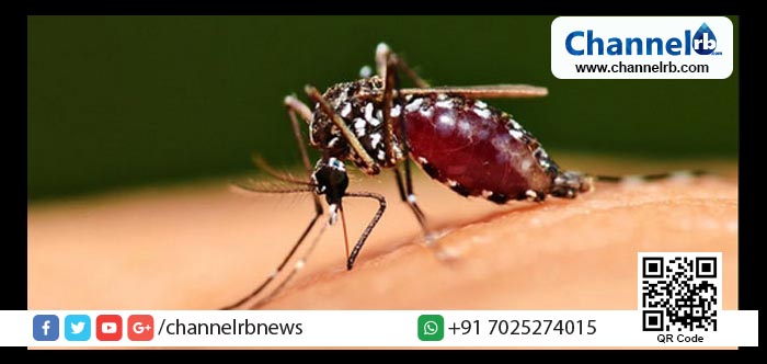 You are currently viewing സംസ്ഥാനത്ത് വീണ്ടും പനി മരണം