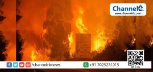 Read more about the article കാട്ടുതീ: പോര്‍ച്ചുഗലില്‍ 19 പേര്‍ കൊല്ലപ്പെട്ടു.