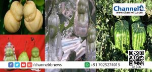 Read more about the article ചൈനയിലെ ബുദ്ധന്റെ രൂപത്തിലുള്ള സബര്‍ജെല്ലിയുടെ പിന്നിലെ കഥ ഇങ്ങനെ…!