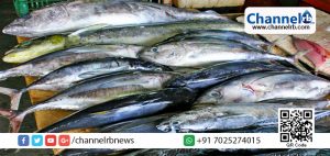 Read more about the article കുട്ടനാട്ടിലെ പുഴവെള്ളം വിഷമയം: മത്സ്യം കഴിച്ചവര്‍ക്ക് വിഷബാധ.