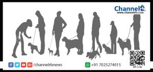 Read more about the article തിരുവനന്തപുരത്ത് നായ്ക്കളെ വളർത്താനും ഇനിമുതൽ കടുത്ത നിയന്ത്രണം; നടപ്പിലാക്കുന്നത് അക്രമകാരികളായ നായ്ക്കളെ ഇല്ലാതാക്കാനുള്ള പുതിയ വഴി