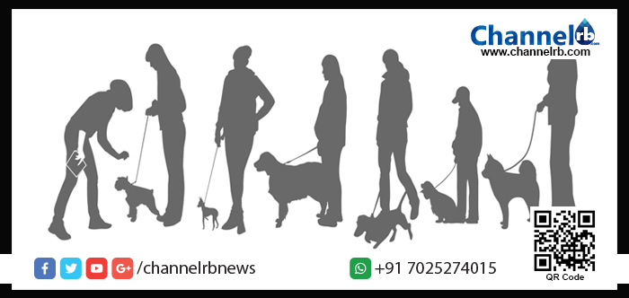 You are currently viewing തിരുവനന്തപുരത്ത് നായ്ക്കളെ വളർത്താനും ഇനിമുതൽ കടുത്ത നിയന്ത്രണം; നടപ്പിലാക്കുന്നത് അക്രമകാരികളായ നായ്ക്കളെ ഇല്ലാതാക്കാനുള്ള പുതിയ വഴി