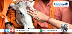 Read more about the article മോദിയുടെ വാക്ക് പാഴ്‌വാക്കായി, പശുസംരക്ഷണത്തിന്റെ പേരില്‍ വീണ്ടും ഒരാളെ തല്ലികൊന്നു; യു.പിക്ക് പിന്നാലെ ജാര്‍ഖണ്ഡിലും സുരക്ഷ ഇല്ലെന്ന് പൊതുജനം