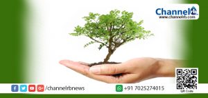 Read more about the article ഇന്ന് പരിസ്ഥിതി ദിനം: കേരളത്തിലൊട്ടാകെ 1 കോടി വൃക്ഷത്തൈ നടാനൊരുങ്ങി കേരള സര്‍ക്കാര്‍.