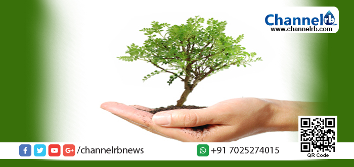 You are currently viewing ഇന്ന് പരിസ്ഥിതി ദിനം: കേരളത്തിലൊട്ടാകെ 1 കോടി വൃക്ഷത്തൈ നടാനൊരുങ്ങി കേരള സര്‍ക്കാര്‍.