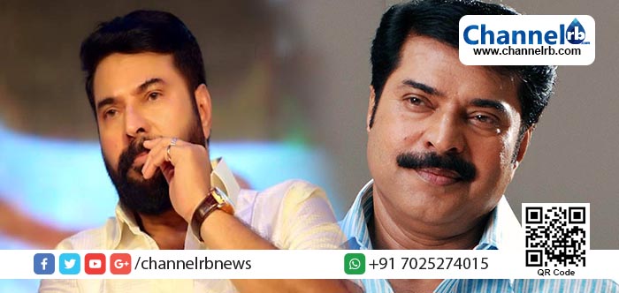 You are currently viewing മുഖത്തടിച്ചത് പോലുള്ള മമ്മൂട്ടിയുടെ മറുപടിയില്‍ സംവിധായകന്റെ ഭീഷണി; നീ കണ്ടോടാ, ഈ സിനിമ ഞാന്‍ മറ്റവനെ വച്ച് ചെയ്യും, പിന്നെ നിന്റെ അവസാനമാണ്…