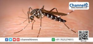 Read more about the article ഡെങ്കി, എച്ച്1എന്‍1 പനിക്കെതിരെ ബോധവല്‍ക്കരണവുമായി സര്‍ക്കാര്‍.