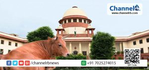 Read more about the article ബി ജെ പിയുടെ ഗോ സംരക്ഷണത്തിന് കോടതിയുടെ തിരിച്ചടി; കന്നുകാലികളെ കശാപ്പിനായി വില്‍ക്കുന്നത് നിയന്ത്രിക്കുന്ന കേന്ദ്രസര്‍ക്കാര്‍ വിജ്ഞാപനം സുപ്രീം കോടതി സ്‌റ്റേ ചെയ്തു