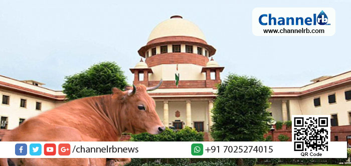 You are currently viewing ബി ജെ പിയുടെ ഗോ സംരക്ഷണത്തിന് കോടതിയുടെ തിരിച്ചടി; കന്നുകാലികളെ കശാപ്പിനായി വില്‍ക്കുന്നത് നിയന്ത്രിക്കുന്ന കേന്ദ്രസര്‍ക്കാര്‍ വിജ്ഞാപനം സുപ്രീം കോടതി സ്‌റ്റേ ചെയ്തു
