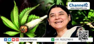 Read more about the article ഇന്ത്യയിൽ കഞ്ചാവ് നിയമവിധേയമാക്കണം; ആരോഗ്യരംഗത്ത് കഞ്ചാവിന്‍റെ അനന്ത സാധ്യതകള്‍ പ്രയോജനപ്പെടുത്തണമെന്നും മേനകാ ഗാന്ധി