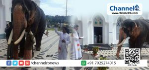 Read more about the article അരുവിത്തുറ പള്ളിയില്‍ ആനയെ മാമോദീസാ മുക്കിയതും വെഞ്ചരിച്ചതും വിവാദമാകുന്നു