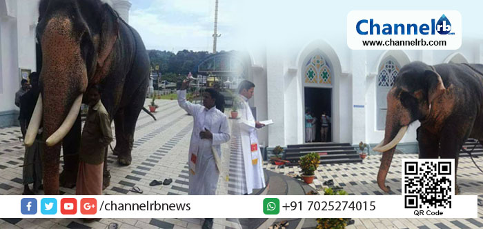 You are currently viewing അരുവിത്തുറ പള്ളിയില്‍ ആനയെ മാമോദീസാ മുക്കിയതും വെഞ്ചരിച്ചതും വിവാദമാകുന്നു