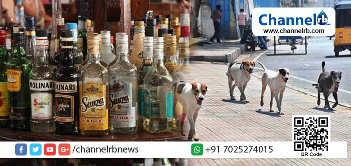 You are currently viewing മദ്യത്തിനൊപ്പം കഴിക്കാൻ ഭക്ഷണമില്ല; ഡൽഹിയിൽ യുവാക്കൾ തെരുവ് നായയെ കല്ലെറിഞ്ഞുകൊന്നത് ഭക്ഷണമാക്കാൻ