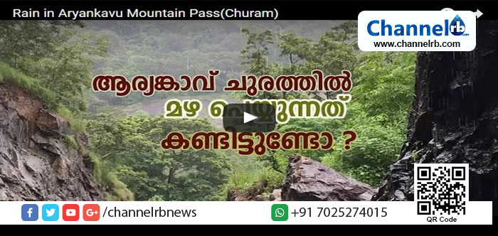 You are currently viewing കൊല്ലം-  ചെങ്കോട്ട റെയിൽ പാതയിലെ ആര്യങ്കാവ് ചുരത്തിൽ മഴ പെയ്യുന്ന മനോഹര കാഴ്ച