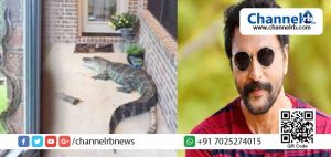 Read more about the article എന്റെ വീട്ടില്‍ ചീങ്കണ്ണിയും വന്നിട്ടില്ല പാമ്പും വന്നിട്ടില്ല; സോഷ്യല്‍ മീഡിയയില്‍ വന്ന വാര്‍ത്തയുടെ നിജ സ്ഥിതി വെളിപ്പെടുത്തി നടന്‍ ബാബു ആന്റണി