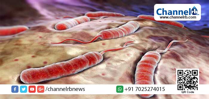 Read more about the article പകര്‍ച്ചപ്പനിക്ക് പിന്നാലെ കേരളത്തില്‍ ഭീതിപരത്തി കോളറയും, ആരോഗ്യവകുപ്പിന്റെ മുന്നറിയിപ്പ്