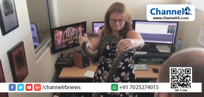 You are currently viewing ന്യൂസ് ചാനലിന്റെ ഓഫീസില്‍ കയറിയ പാമ്പിനെ യുവതി പിടിച്ചെടുത്ത് സഞ്ചിയിലാക്കി, വീഡിയോ കാണാം