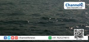 Read more about the article പുഴയില്‍ കാണാതായ യുവതിയുടെ മൃതദേഹം കണ്ടെത്തി