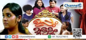 Read more about the article ‘ഉപ്പും മുളകും’ എന്ന ജനപ്രിയ സീരിയലിലെ അഭിനേതാക്കള്‍ വിവാഹിതരാകുന്നു