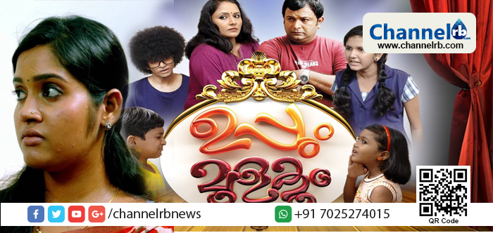 You are currently viewing ‘ഉപ്പും മുളകും’ എന്ന ജനപ്രിയ സീരിയലിലെ അഭിനേതാക്കള്‍ വിവാഹിതരാകുന്നു