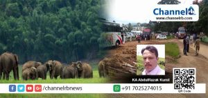 Read more about the article തേക്കടി ടൂറിസത്തെ സമ്പൂര്‍ണമായി ഇല്ലാതാക്കുക എന്ന ലക്ഷ്യത്തോടെ തുടര്‍ നടപടികള്‍ സ്വീകരിക്കുന്ന വനംവകുപ്പ്