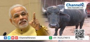 Read more about the article പ്രധാനമന്ത്രിക്ക് മുന്നില്‍ മൃഗങ്ങളുടെ തത്സമയ സര്‍ജറി നടത്താന്‍ നിര്‍ദ്ദേശം; പോത്ത് ഉൾപ്പെടെ സര്‍ജറിക്കുള്ള മൃഗങ്ങളെ കണ്ടെത്താനുള്ള നെട്ടോട്ടത്തിൽ സംഘാടകർ