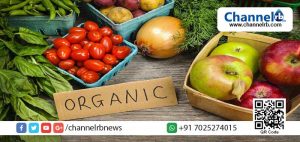 Read more about the article സമ്പൂര്‍ണ്ണ ജൈവകാര്‍ഷിക മണ്ഡലം അവാര്‍ഡിനു അപേക്ഷകള്‍ ക്ഷണിച്ചു