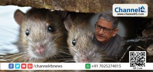 Read more about the article എലികള്‍ നദിയുടെ കരകളില്‍ മാളവും കുഴികളും ഉണ്ടാക്കുമ്പോള്‍, നദി തീരം ദുര്‍ബലമാകുന്നു. തുടര്‍ന്ന് തീരം ഇടിഞ്ഞ് വെള്ളപ്പൊക്കമുണ്ടാകും, ബീഹാറിലെ പ്രളയക്കെടുതിക്ക് കാരണം എലികളാണെന്ന് ജലവിഭവമന്ത്രി