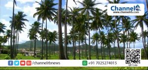 Read more about the article മുംബൈയെ കേരളമാക്കാന്‍ ഗ്രീന്‍ മുംബൈ പദ്ധതി വരുന്നു; 12,000 തെങ്ങുകള്‍ വെച്ചുപിടിപ്പിക്കും