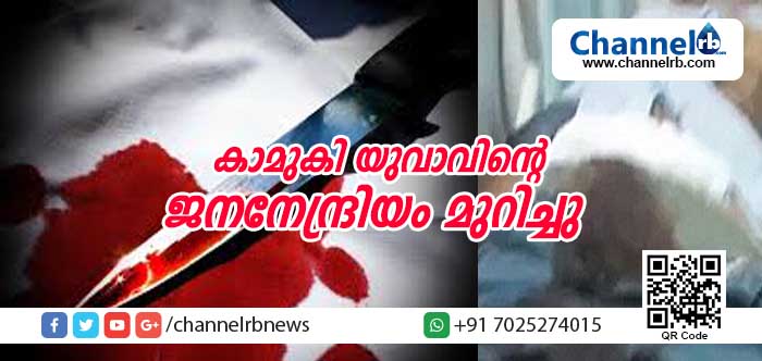 Read more about the article ഗള്‍ഫിലേക്ക് പോകുന്നതിന്റെ തലേദിവസം കാമുകിയുമായി ലോഡ്ജില്‍ സംഗമിച്ചു; റൂം വെക്കേറ്റ് ചെയ്യുന്നതിനു മുമ്പ് കുപിതയായ യുവതി യുവാവിന്റെ ജനനേന്ദ്രിയം മുറിച്ചു;  കുറ്റിപ്പുറത്ത് നടന്നത് ഇതൊക്കെ