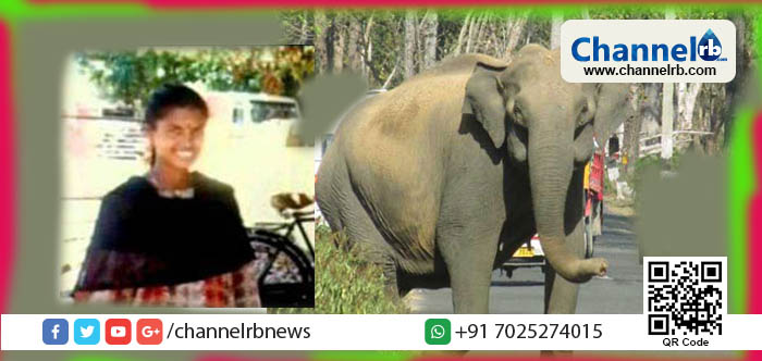 Read more about the article പതിനഞ്ചു വര്‍ഷമായി ഒളിവിലായിരുന്ന വനിതാ മാവോയിസ്റ്റ് നാടുകാണി വനത്തില്‍ കാട്ടാനയുടെ ആക്രമണത്തില്‍ കൊല്ലപ്പെട്ടു