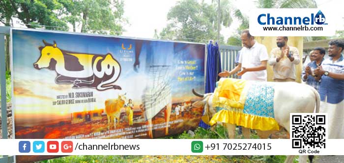 Read more about the article ‘പശു’ എന്ന ചിത്രത്തിന്റെ ഫസ്റ്റ് ലുക്ക് പോസ്റ്റര്‍ പ്രകാശനം ചെയ്തത് കാശിയെന്ന കാള