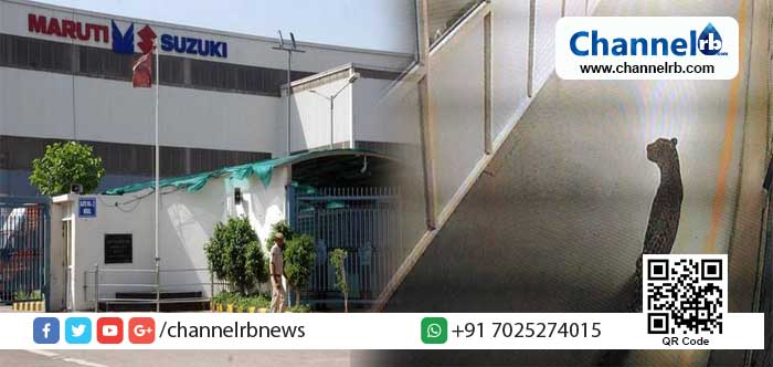 You are currently viewing ഹരിയാനയിൽ മാരുതിയുടെ ഏറ്റവും വലിയ കാർ ഫാക്ടറിയിൽ പുള്ളിപ്പുലി കയറി; പ്രദേശം വളഞ്ഞ വനംവകുപ്പ് ഉദ്യോഗസ്ഥർ തിരച്ചില്‍ തുടരുന്നു
