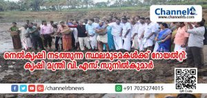 Read more about the article നെല്‍കൃഷി നടത്തുന്ന സ്ഥലമുടമകള്‍ക്ക് റോയല്‍റ്റി നല്‍കുമെന്ന് കൃഷിമന്ത്രി; മെത്രാന്‍ കായല്‍ പ്രദേശത്ത് കൃഷി അല്ലാതെ മറ്റൊരു പ്രവൃത്തിയും അനുവദിക്കില്ലെന്ന് മന്ത്രി